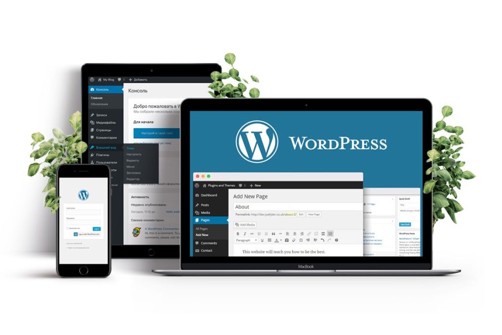 wordpress-aekimshi-paneli
